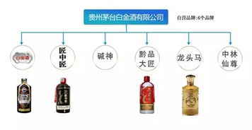 茅臺(tái)酒的珍品價(jià)值與完整產(chǎn)品圖譜